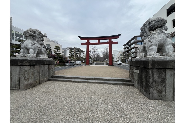 ユキノシタの花言葉は「深い愛情」らしい【鎌倉　土地】