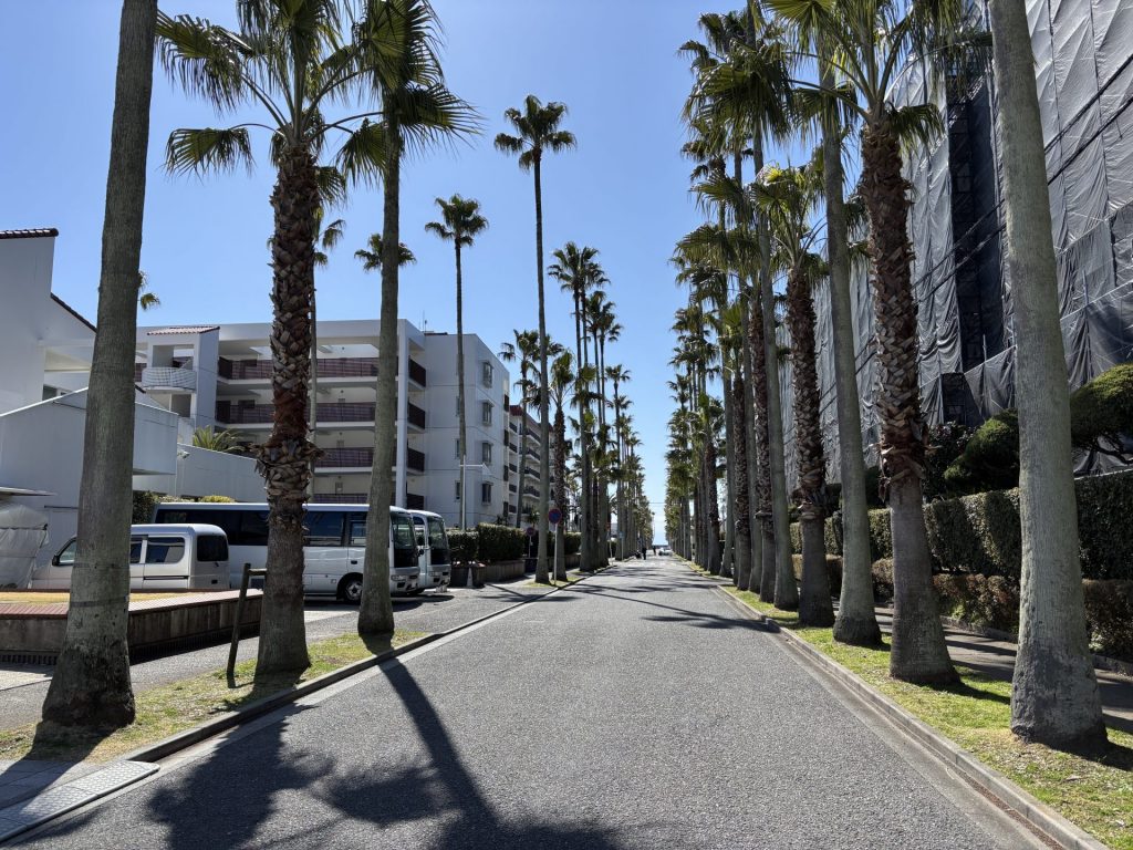 逗子マリーナ vs 佐島の丘