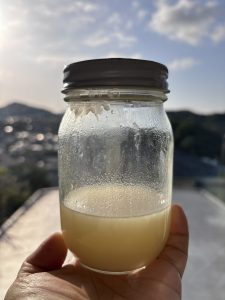 イノシシ　コンプリート