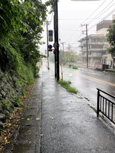 雨からの雨でしたね。