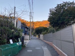 鎌倉の紅葉