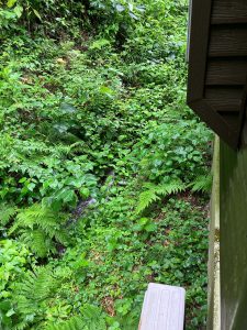 地震　ときどき　沢