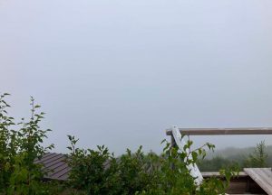 社長、山は楽しいですね！