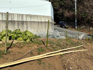 農活！やればできる！！