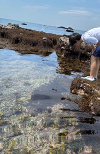 今年も磯始めは荒井浜海岸