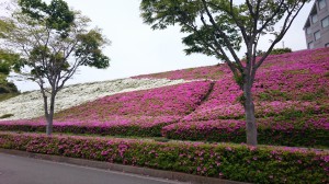 また今日から頑張らねば！