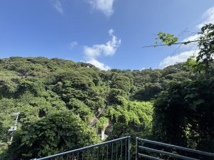 逗子に住んでます日記24
