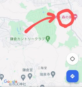 久しぶりの野七里