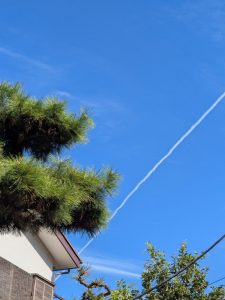 秋風