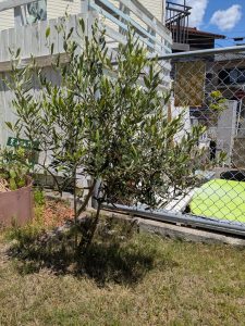 ご近所との関係