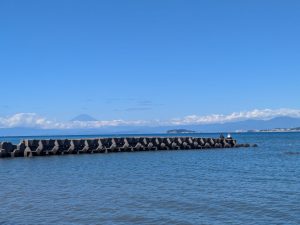久しぶりに晴天！