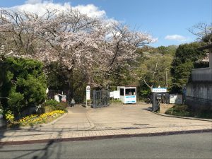 湘南モノレール　鎌倉中央公園