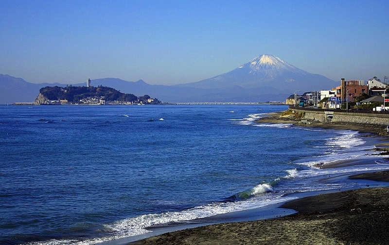 富士山を愛でる