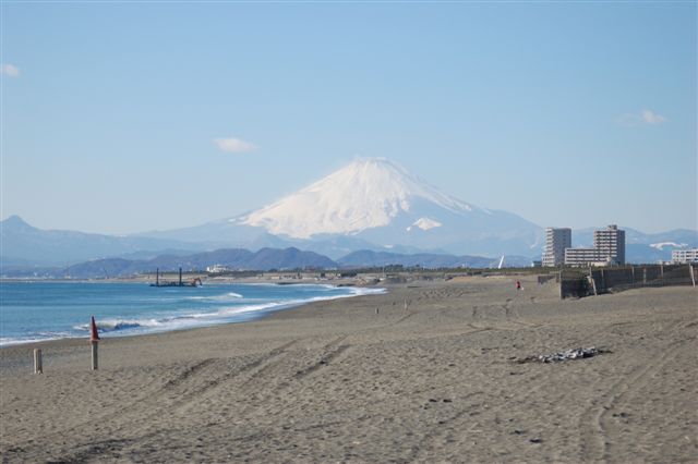 富士山を愛でる ５