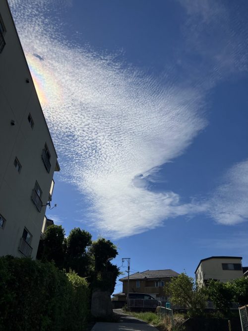 夏の空、夏の雲