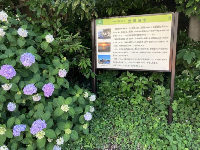 荒崎エクストラ