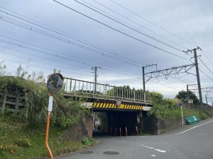 シン・ゴジラとＹシャツと私