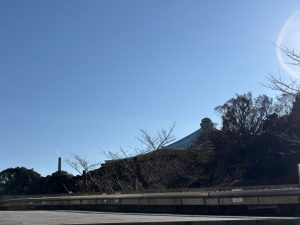 戦うお正月のハナシ