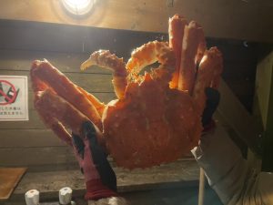 キャンプしてみた！