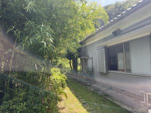 金柑のノスタルジア