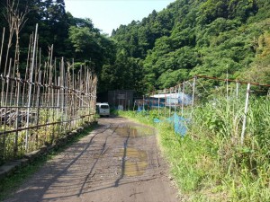 イベント　山歩き日和♪