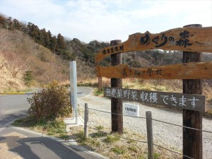 最高峰の「あの山」に登頂しました。