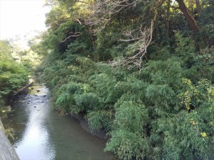 下山口→湘南国際村