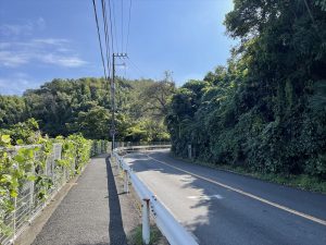 ビッグレスキュー神奈川