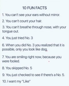 10 Fun Facts