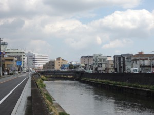 お花見最後の週末