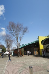 葉山にも駅が