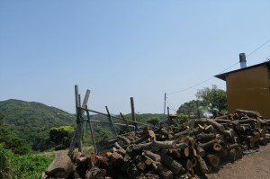 朝から快晴だと気持ちがよく、素直に受けとめられます