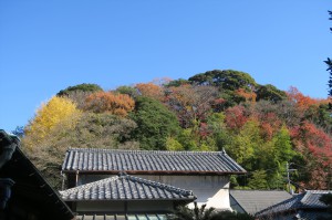 仕上がりが楽しみ