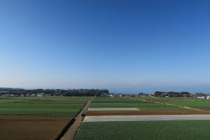 魅力満載三浦半島