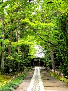 梅雨入り前に