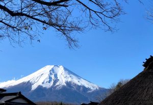 年取ると