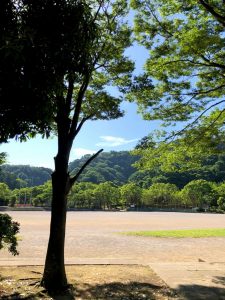 葉山大山林道