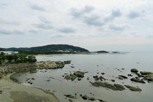 今夏の葉山の海