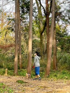 大きな夢を持てよ