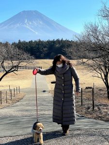 そんな甘くはないよ