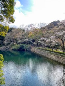 元気で行こっ