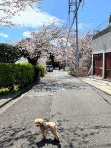 今週末お待ちしております