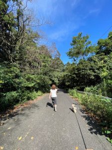 １０月の天候で