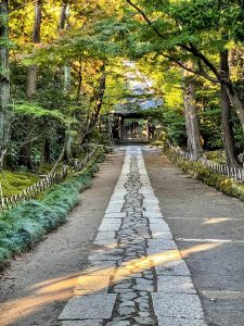 今年も１２月からかな