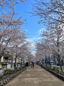 鎌倉いいとこ住みおいで