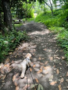 わんちゃんと物件巡り