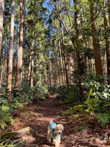 やっぱ葉山しか勝たん