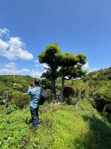 いつまで現役