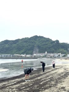 仕入れがただで