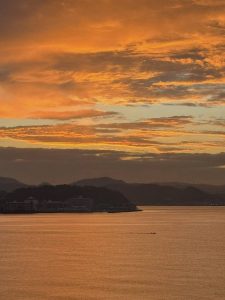 楽しくなりそうだ